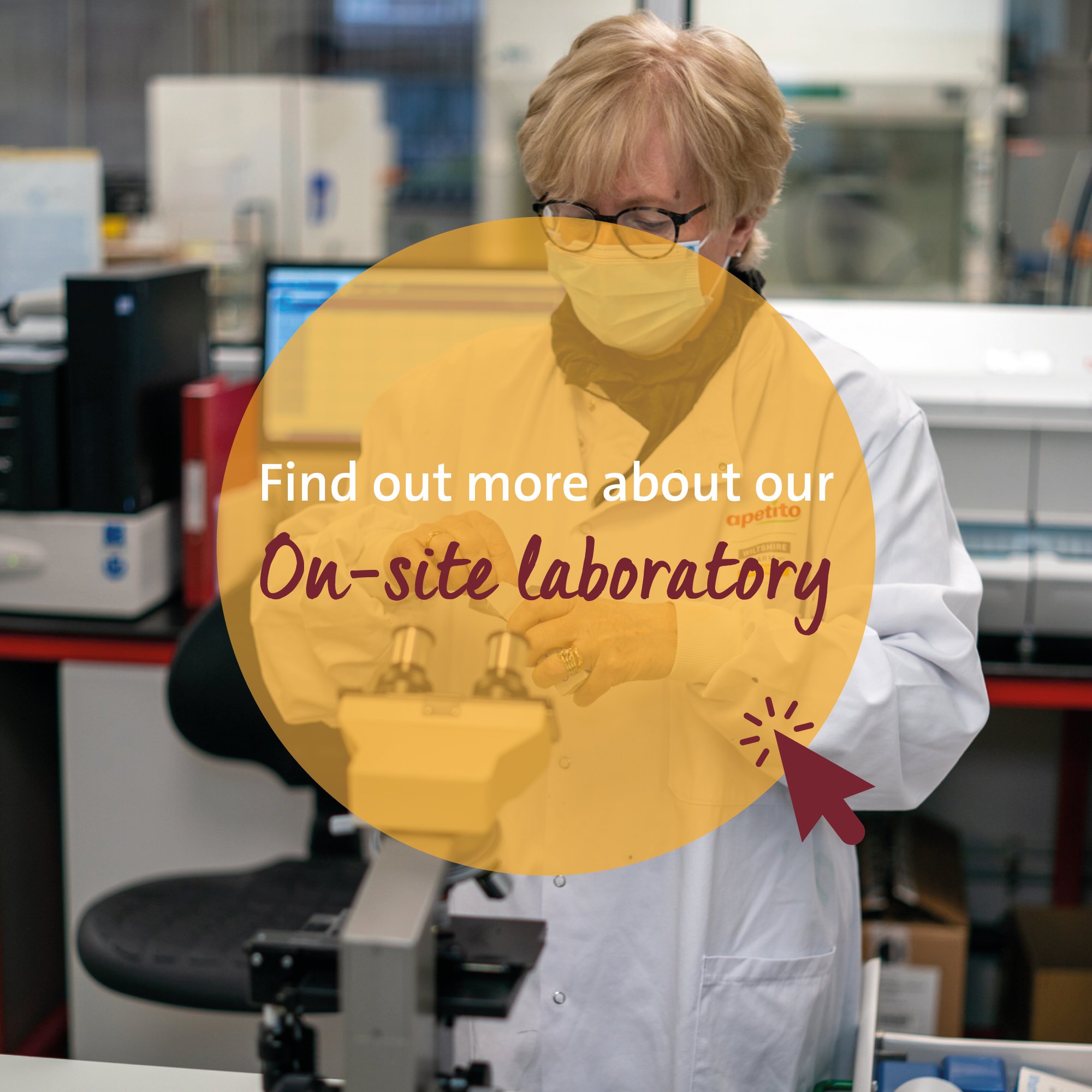 Lab Image