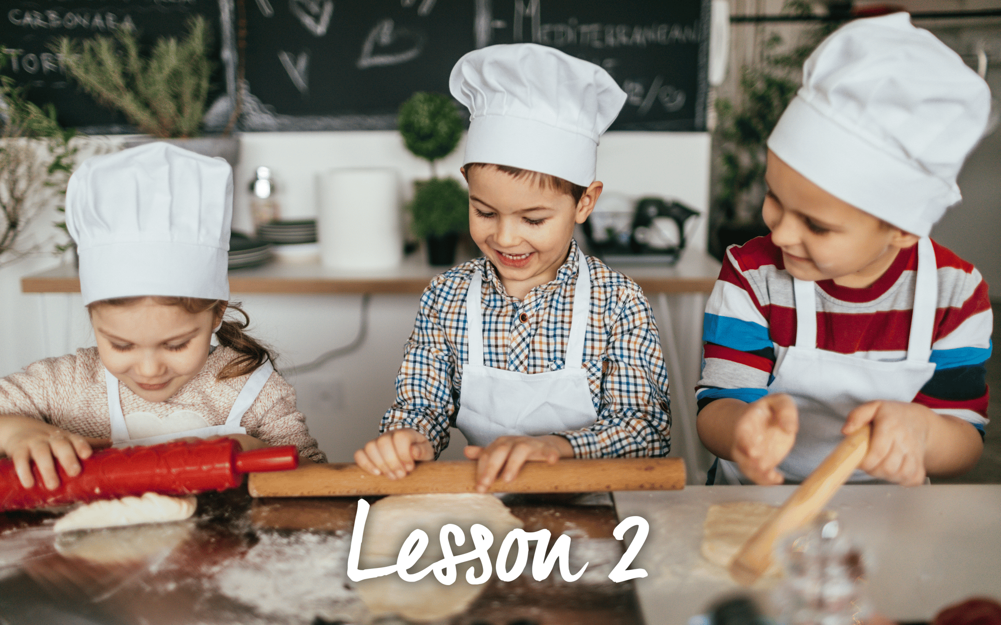 Lesson 2 icon