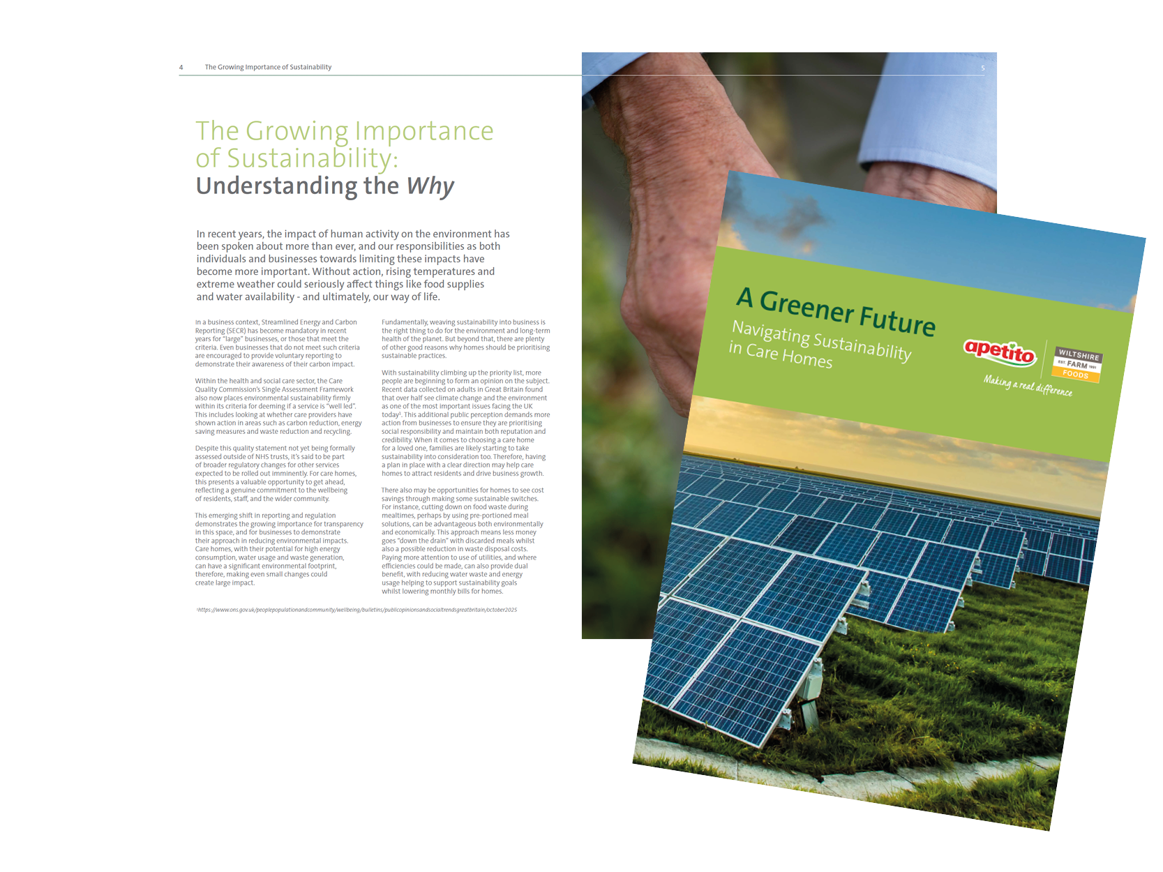 sustainability guide