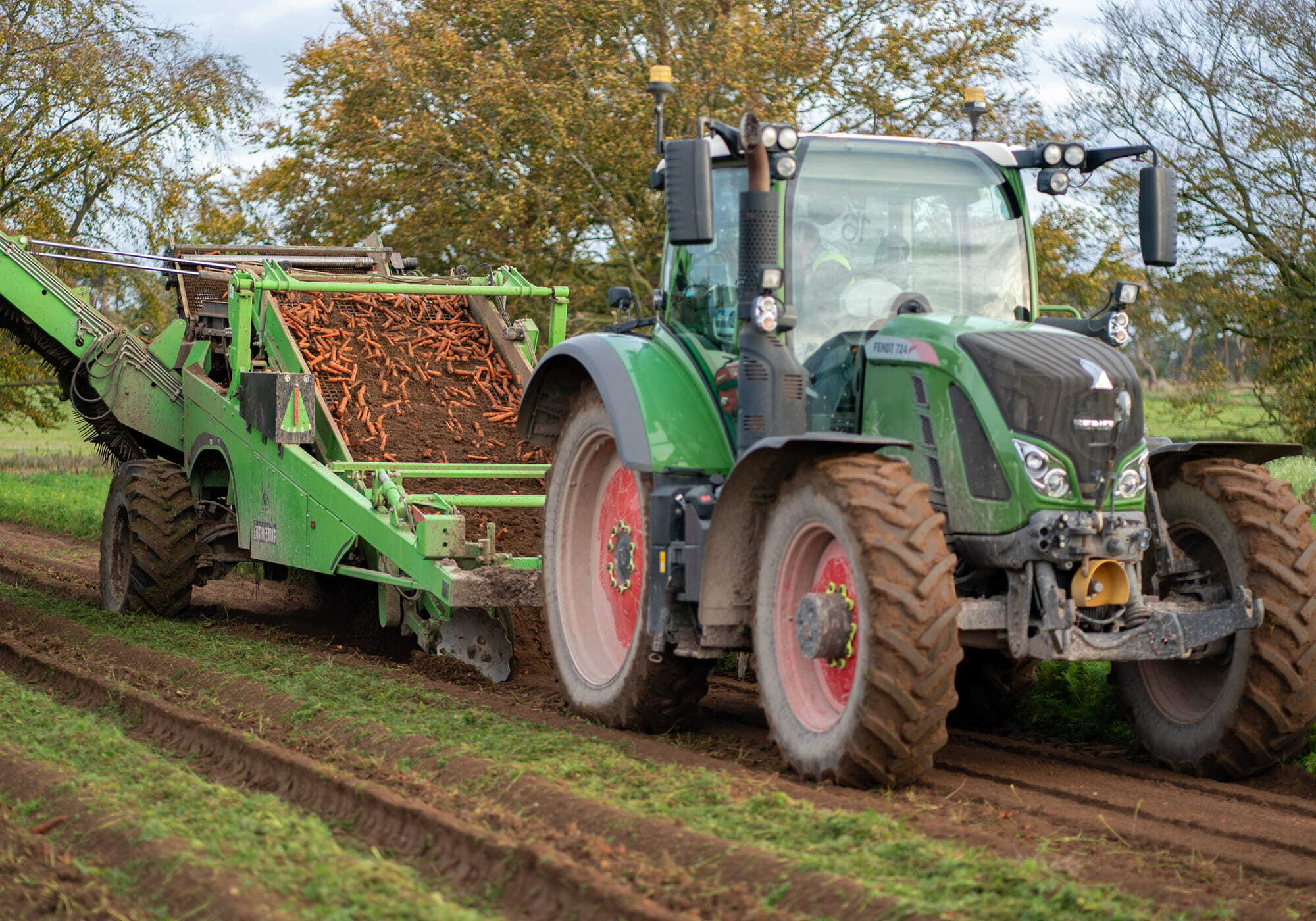 Yorkshire Greens compressed. jpg